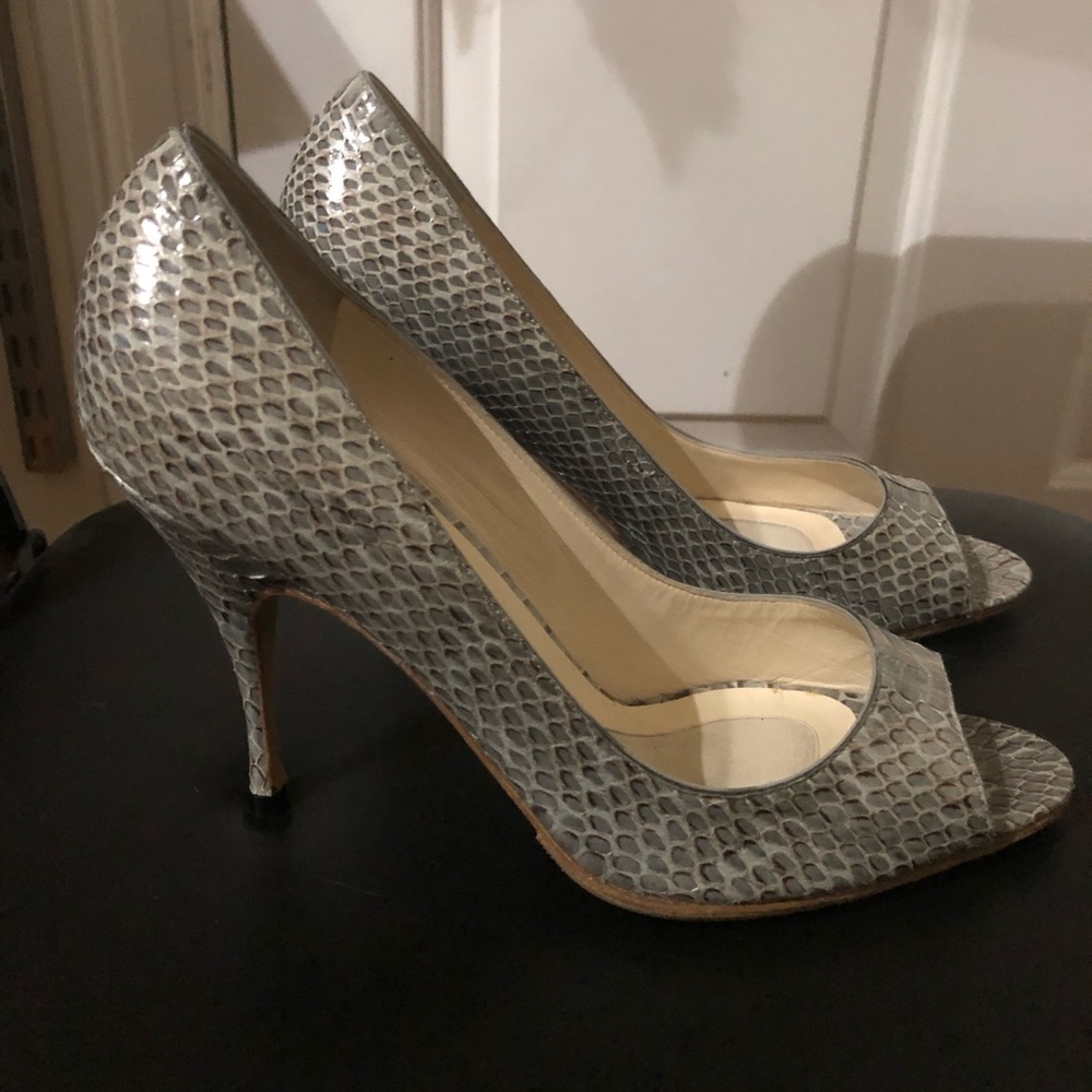 I’m a Greying Python - Picture 4 of 5